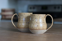 Load image into Gallery viewer, Golden Tan Sandstone Mug
